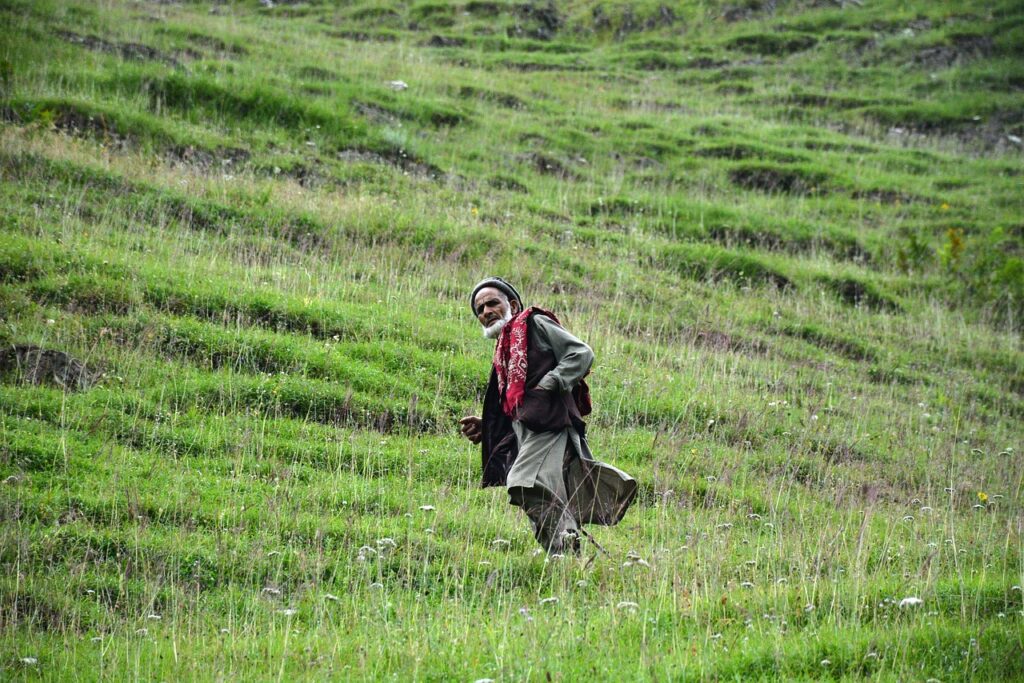 old man, green, mountain-2669173.jpg